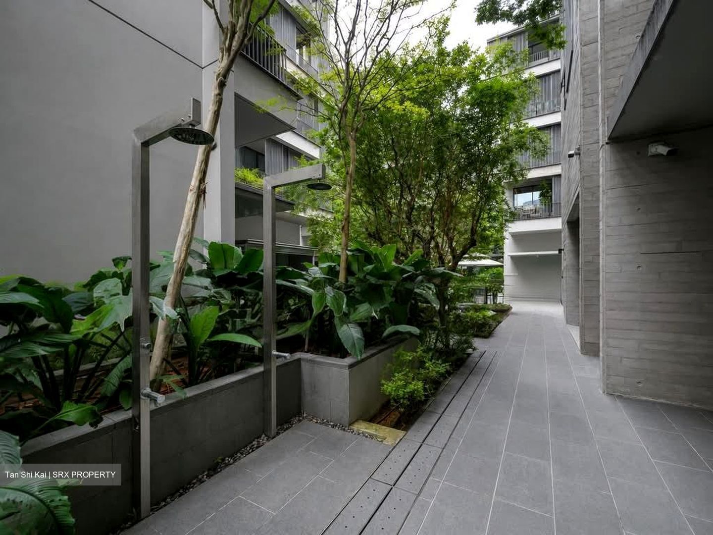 10 Evelyn (D11), Apartment #581305311